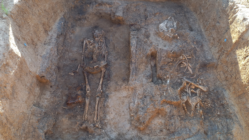 Archaeologists unearth a medieval nobleman buried with his horse and dog in a rare wooden tomb in Russia Archaeologists unearth a medieval nobleman buried with his horse and dog in a rare wooden tomb in Russia