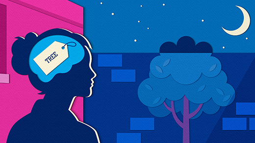 A New Framework for How the Brain Compresses Our Noisy World A New Framework for How the Brain Compresses Our Noisy World