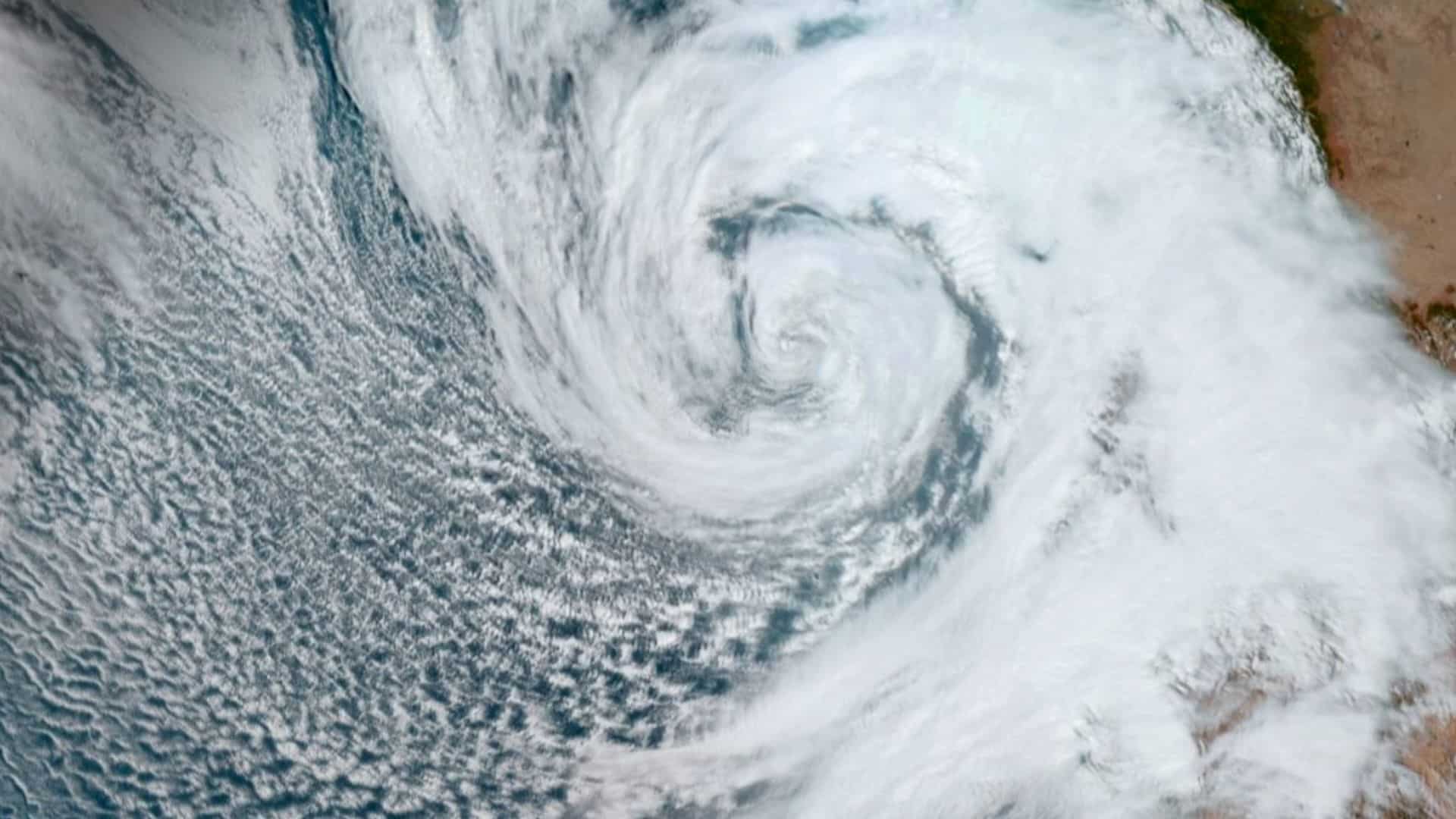 How did Hurricane Polo get so powerful? How did Hurricane Polo get so powerful?