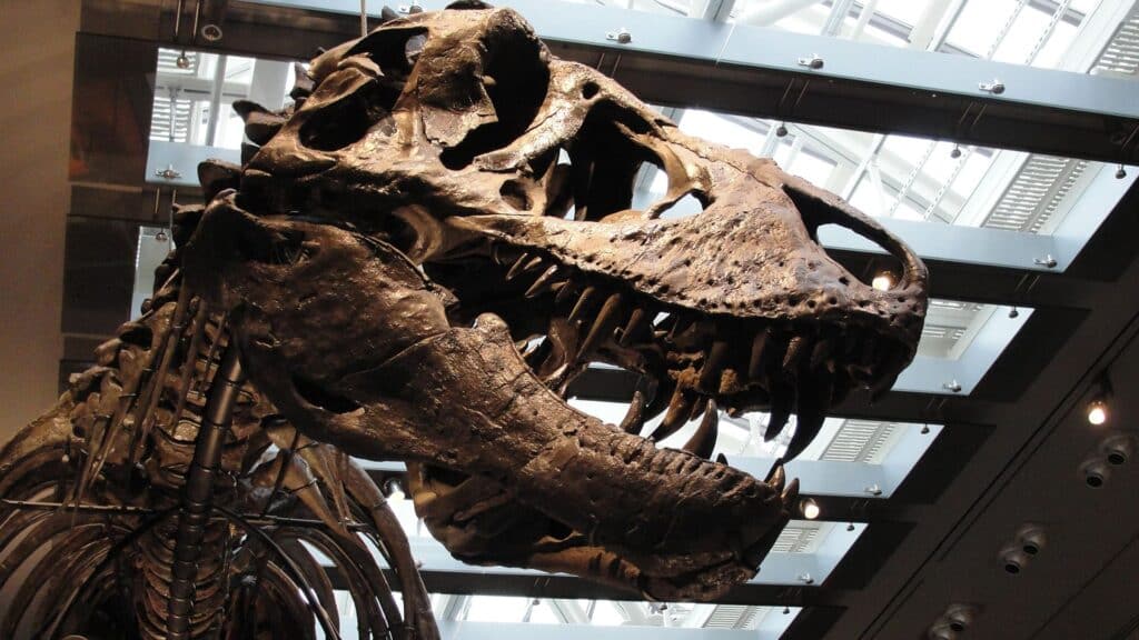 Scientists finally figured out the temperature of T. rex’s blood — and it was as hot as ours Scientists finally figured out the temperature of T. rex’s blood — and it was as hot as ours