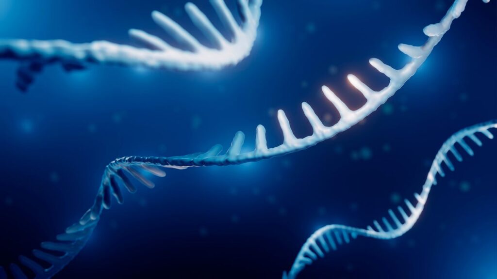 Aging isn’t the same for everyone, down to the molecular level, study finds Aging isn’t the same for everyone, down to the molecular level, study finds