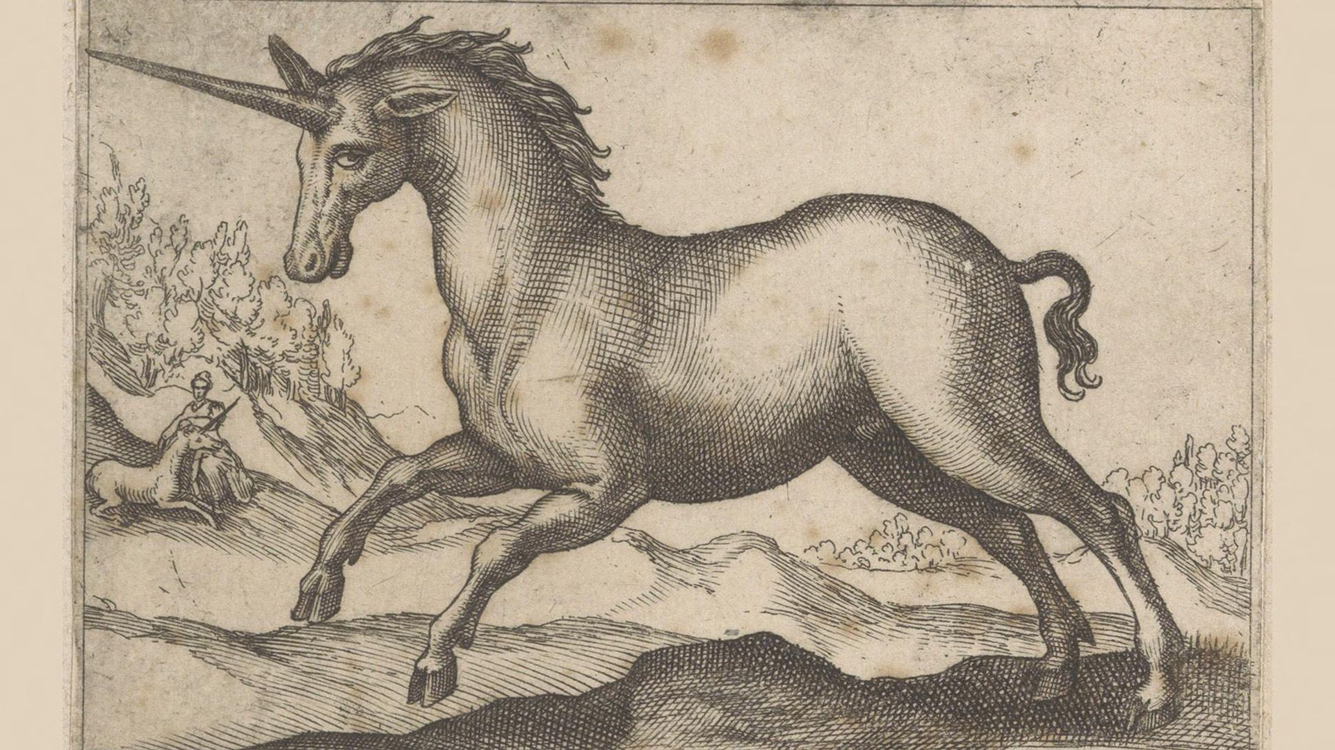 ‘Giant tusks from Siberia were thought to be the horns of the mythical unicorn’: What medieval people made of fossils before vertebrate paleontology ‘Giant tusks from Siberia were thought to be the horns of the mythical unicorn’: What medieval people made of fossils before vertebrate paleontology
