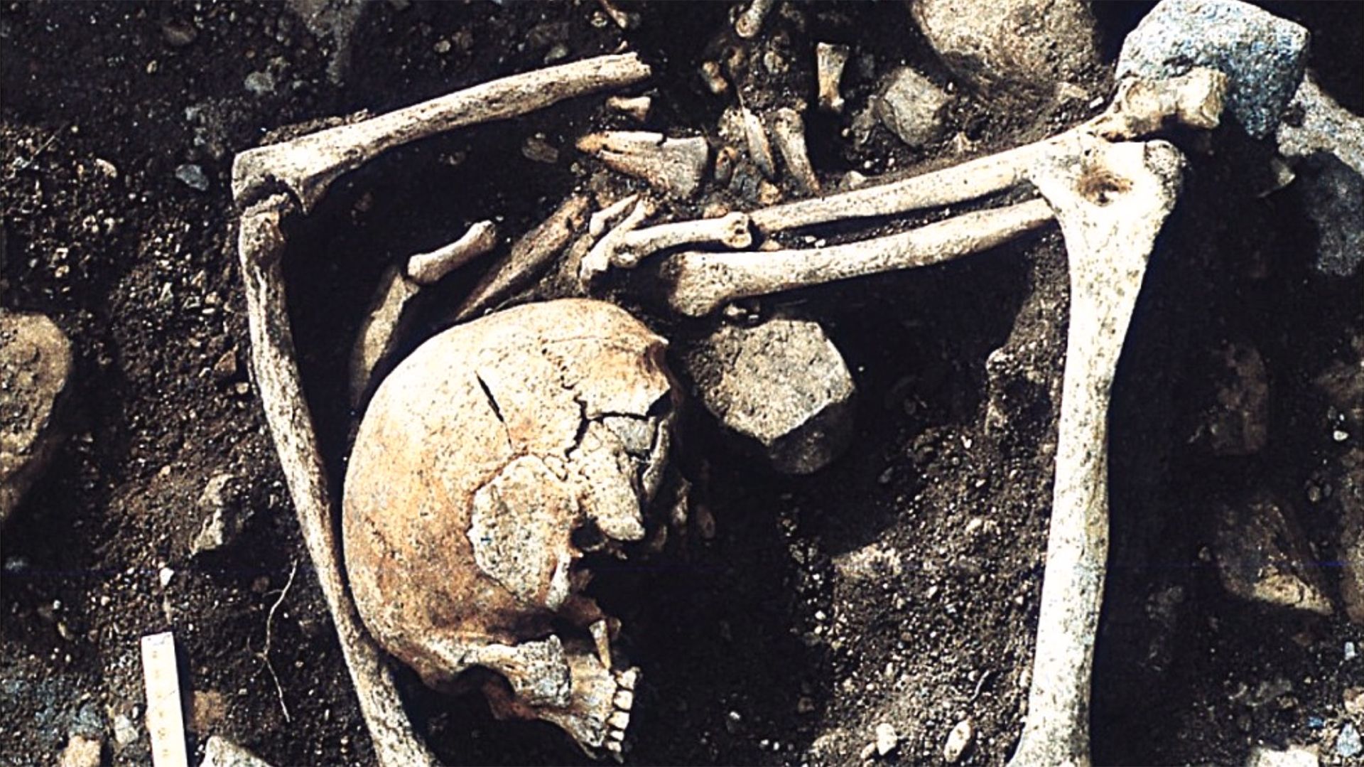 1,200-year-old burial in Latvia holds people who died of ‘sharp force’ injuries, possibly from a Viking raid 1,200-year-old burial in Latvia holds people who died of ‘sharp force’ injuries, possibly from a Viking raid