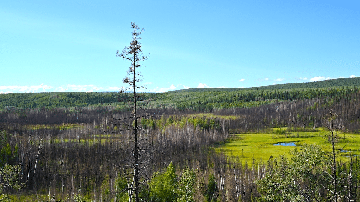 Archaeologists discover the oldest dwelling in the Western Hemisphere at a 13,800-year-old site in Alaska Archaeologists discover the oldest dwelling in the Western Hemisphere at a 13,800-year-old site in Alaska