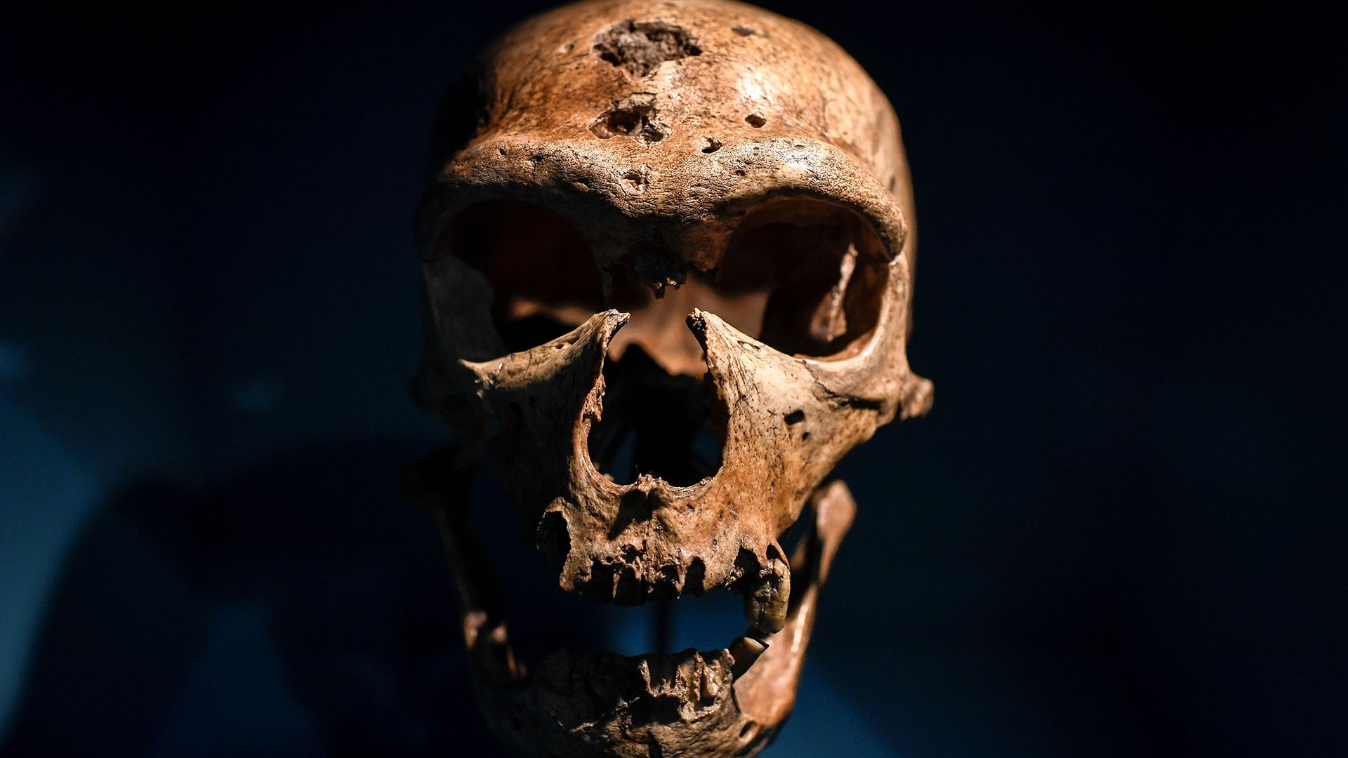 ‘News reports tweaked the science to speak to contemporary anxieties’: How Neanderthal extinction is a projection of our own, modern fears ‘News reports tweaked the science to speak to contemporary anxieties’: How Neanderthal extinction is a projection of our own, modern fears