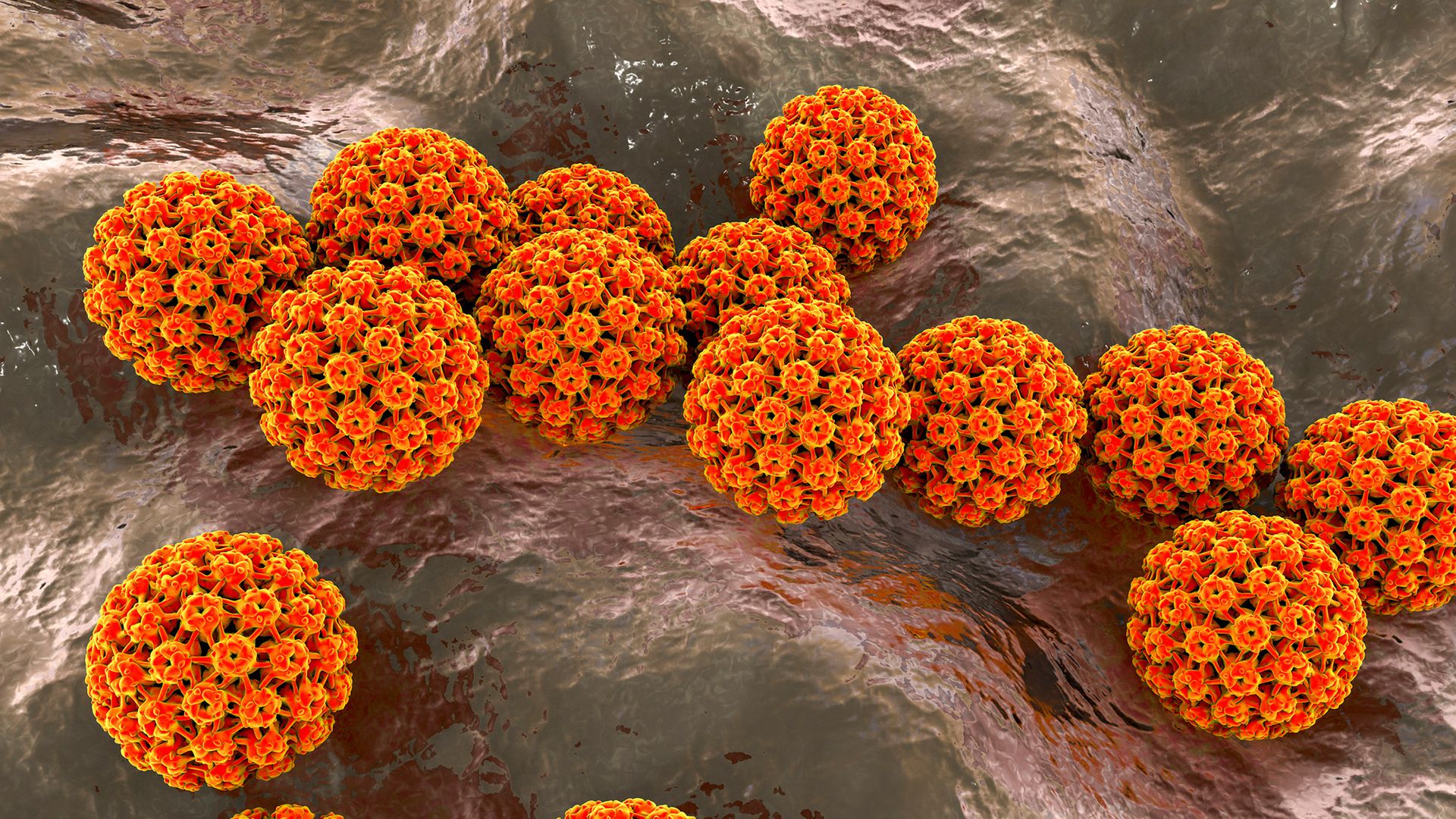 1 in 8 cancer cases are caused by infections, global study finds 1 in 8 cancer cases are caused by infections, global study finds